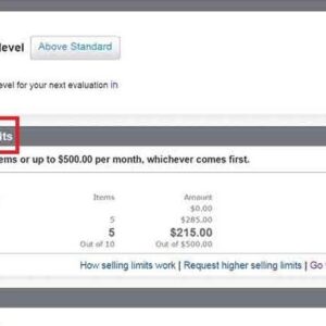 Fresh US Ebay Seller Account with Normal Limits